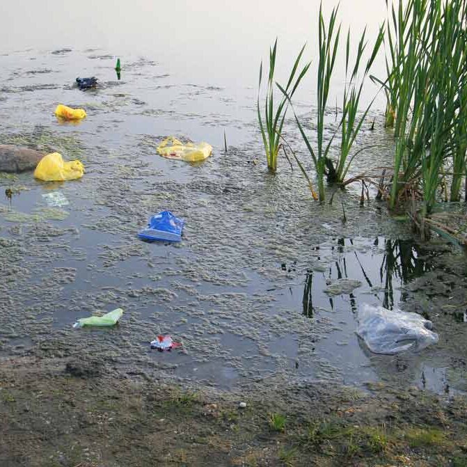 A body of water with plastic bags and other debris floating in it.
